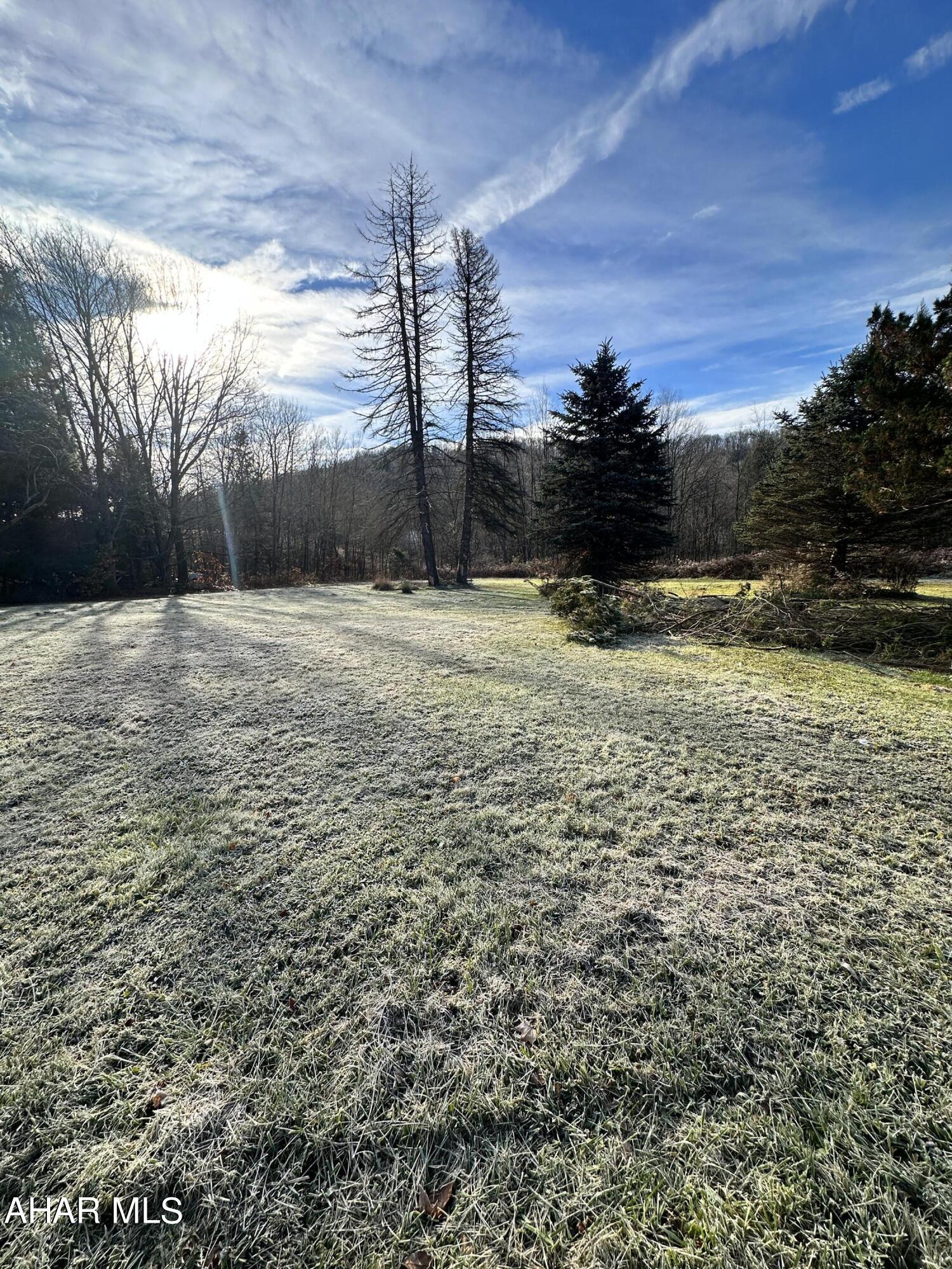 This 1 acre lot is conveniently located off Route 219 with no zoning. Great ideal location for your home or business.