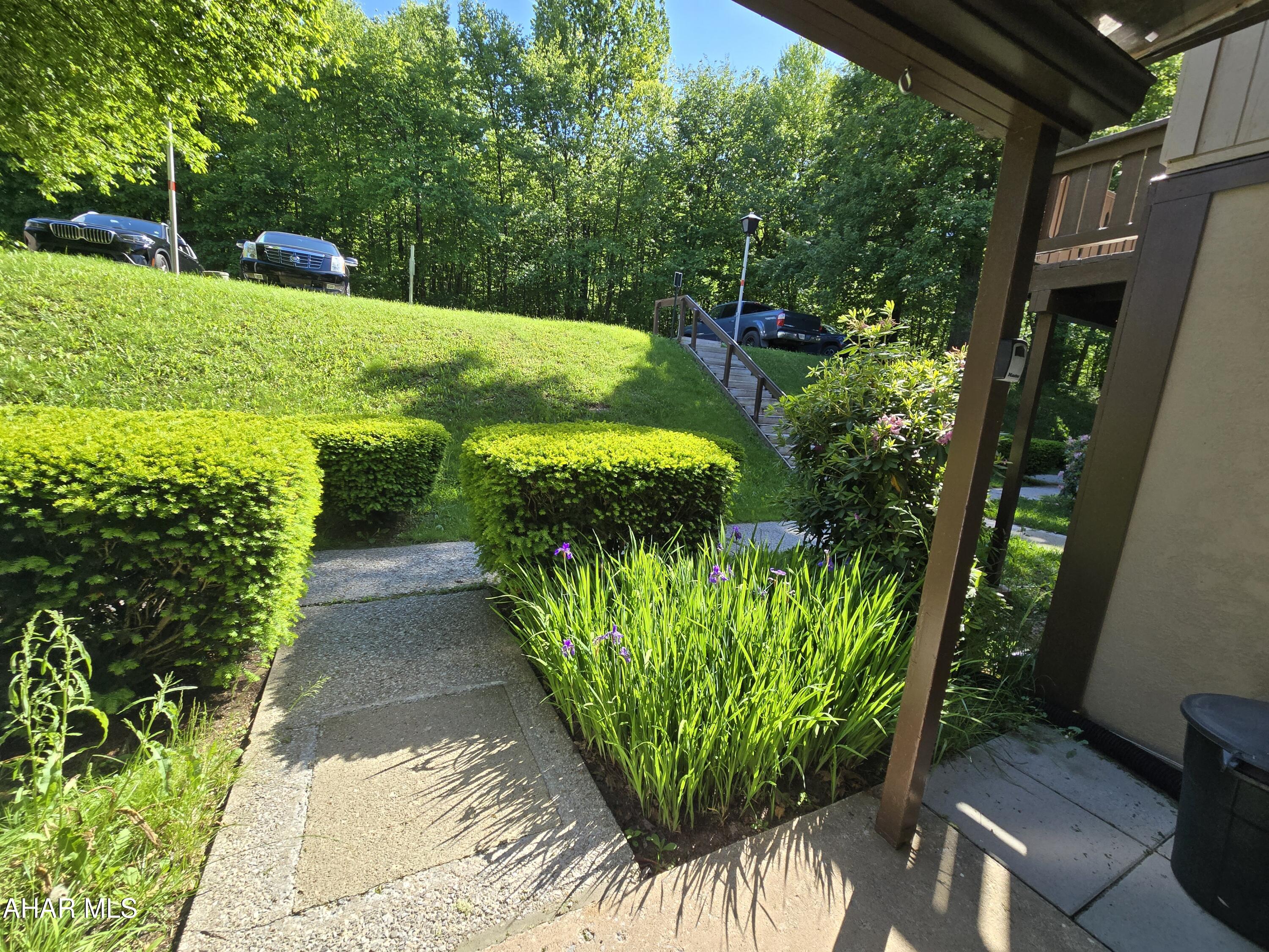 Blue Knob - Residential