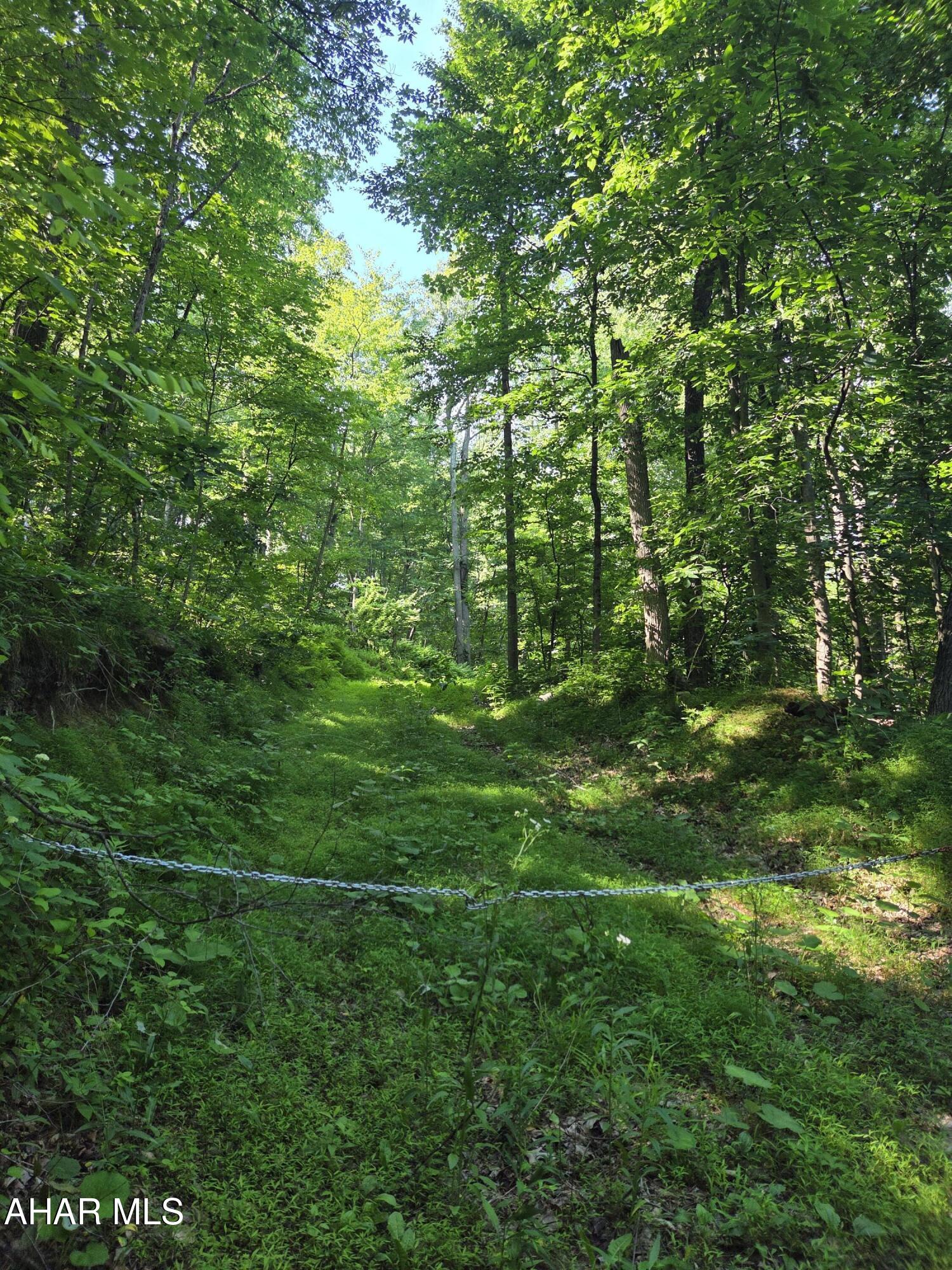 Discover the perfect blend of privacy, nature, and convenience on this beautifully wooded 15 plus acre property located just .25 mile from Juniata River, a popular destination for fishing, tubing, kayaking and relaxation.
Timber value present on the property. 
.25 mile of road frontage
Perfect setting for a hunting camp,  weekend getaway or a new homesite,
Quiet, secluded atmosphere while still close to local amenities.
Endless possibilities with this one.
Recently surveyed.