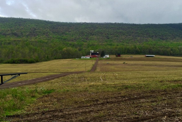 Unknown - Farm