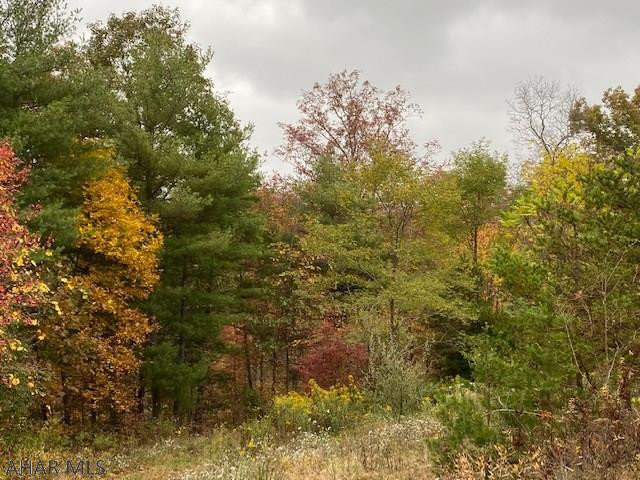 Other - Land