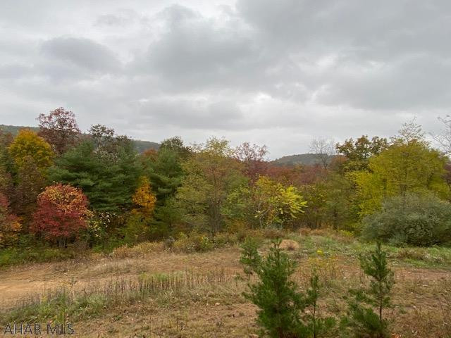 Other - Land