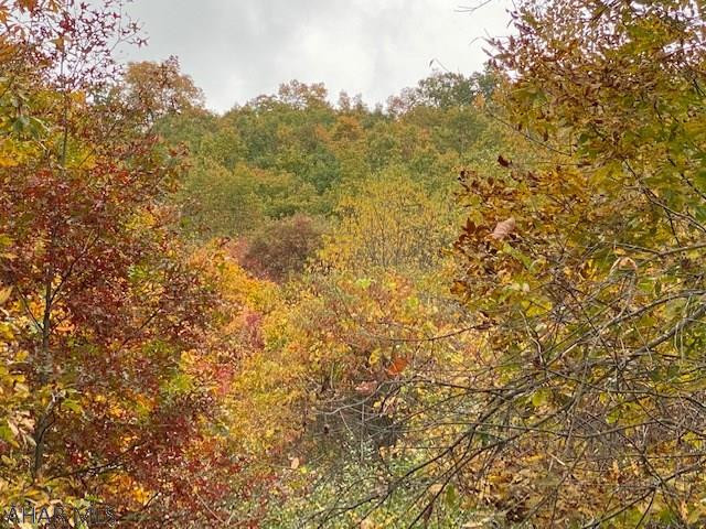 Other - Land