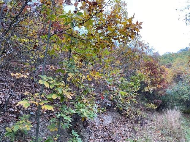 Other - Land
