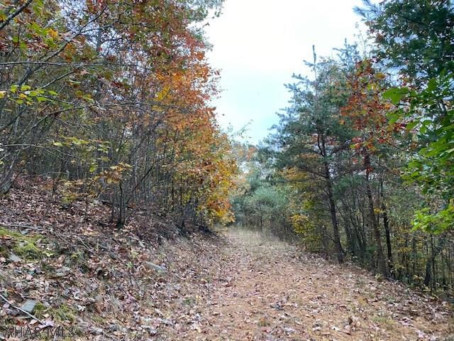 Other - Land