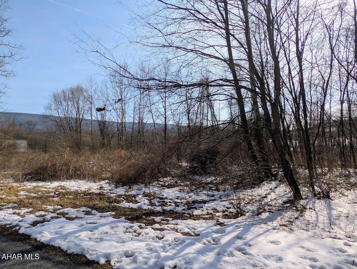 Juniata Mills - Land