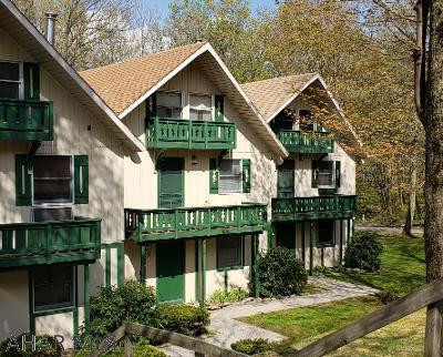 Great mountain retreat.  Fully furnished 2-bedroom Blue Knob Pine Cone Condo with loft, modern Kitchen, stack Washer/Dryer, vaulted ceiling, living room with woodburner, nice balcony and wooded view.  Enjoy swimming, golfing, hiking & skiing.  J-537