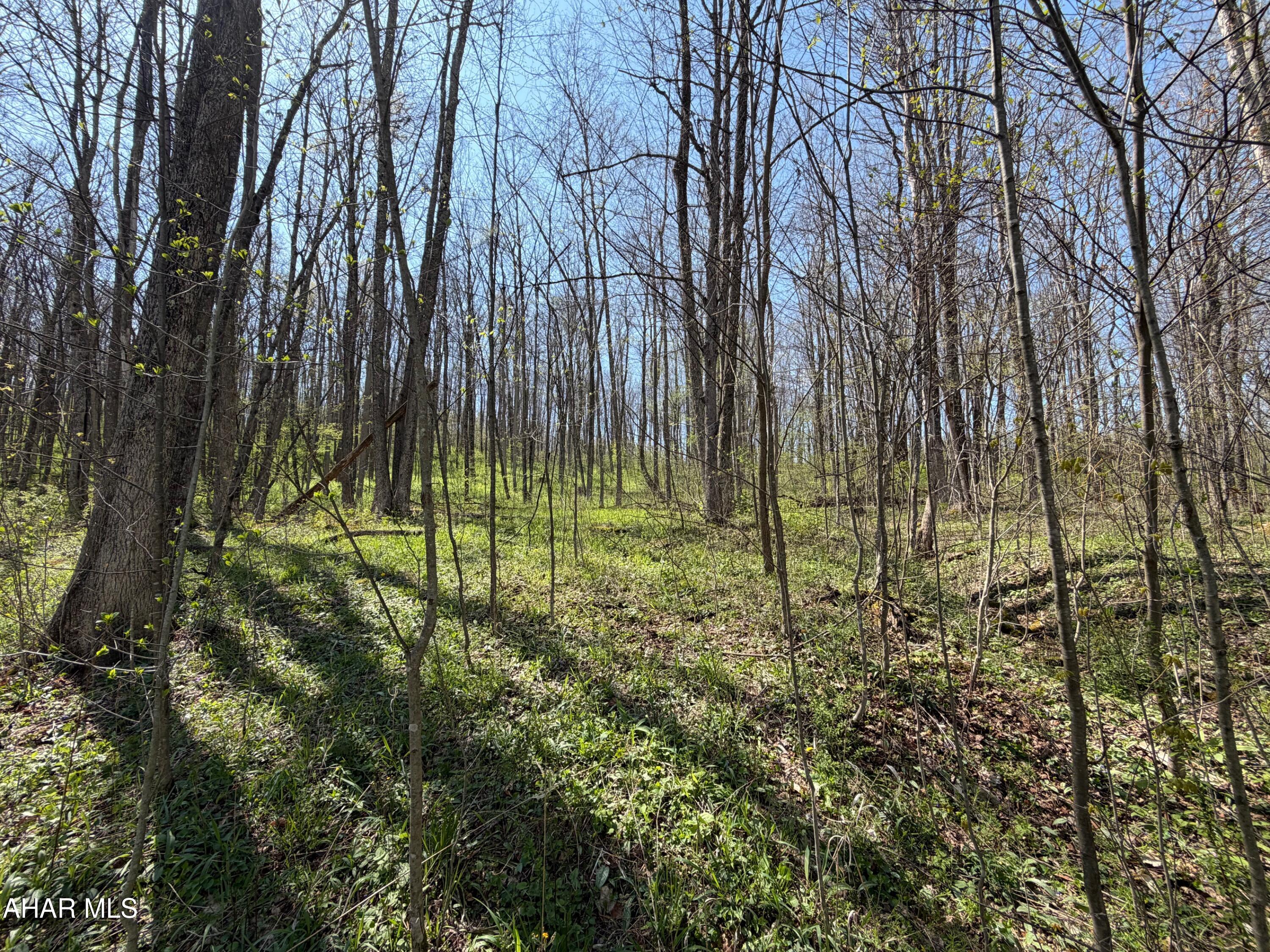 Attention outdoor enthusiasts.  If you're looking for that perfect piece of land to build your dream home, a vacation home or just have room to roam, come take a look at this 24.834 acre parcel.  It has a nice mixture of young and mature trees, along with some cleared areas that may be the perfect place to build.  Located close to Indian Lake and Lake Stoneycreek and a short drive to Seven Springs and Hidden Valley, this property allows easy access to all that Somerset County has to offer.  It has frontage on Rock Cut Road and a deeded right-of-way through the neighboring property.  Acreage and taxes are from public records, buyer to verify.