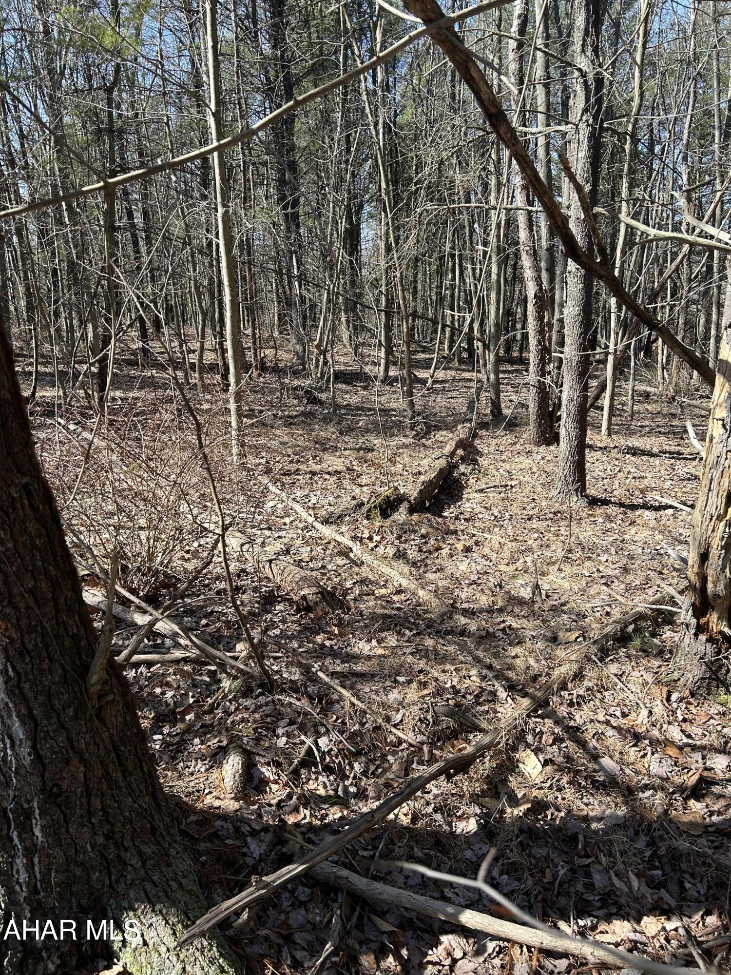 Bellwood-Antis School District. 1.24 acres. Only minutes from downtown Bellwood.  Level, wooded.  Electric is very close to property.