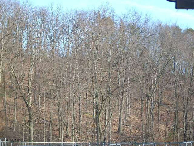 7 acres in Tyrone.  Public utilities are available.  Priced to sell at only $39,900!