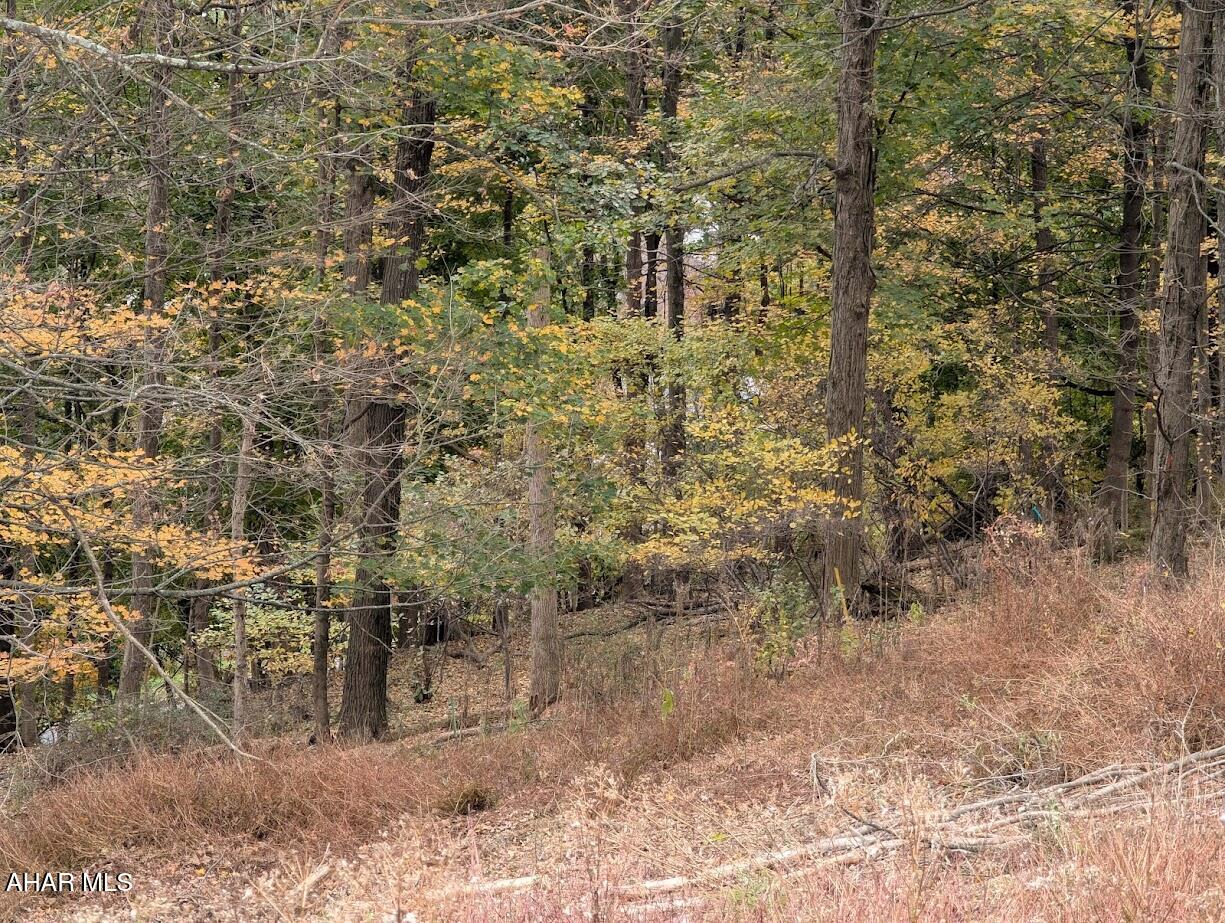 Barclay - Land