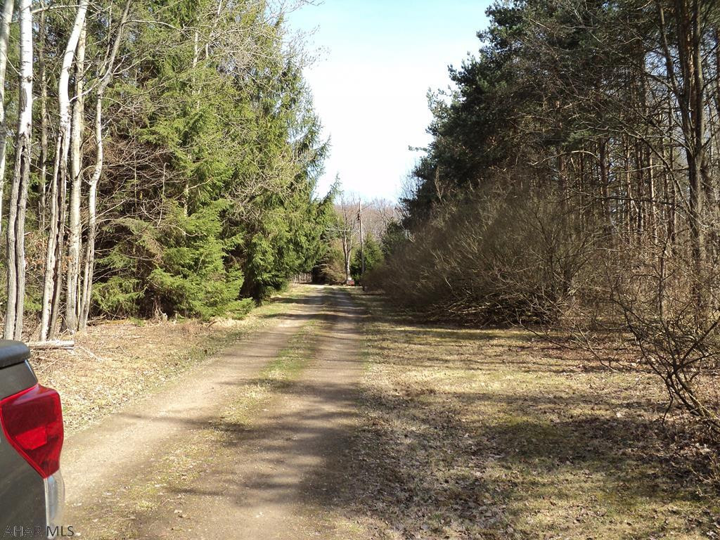 Other - Land