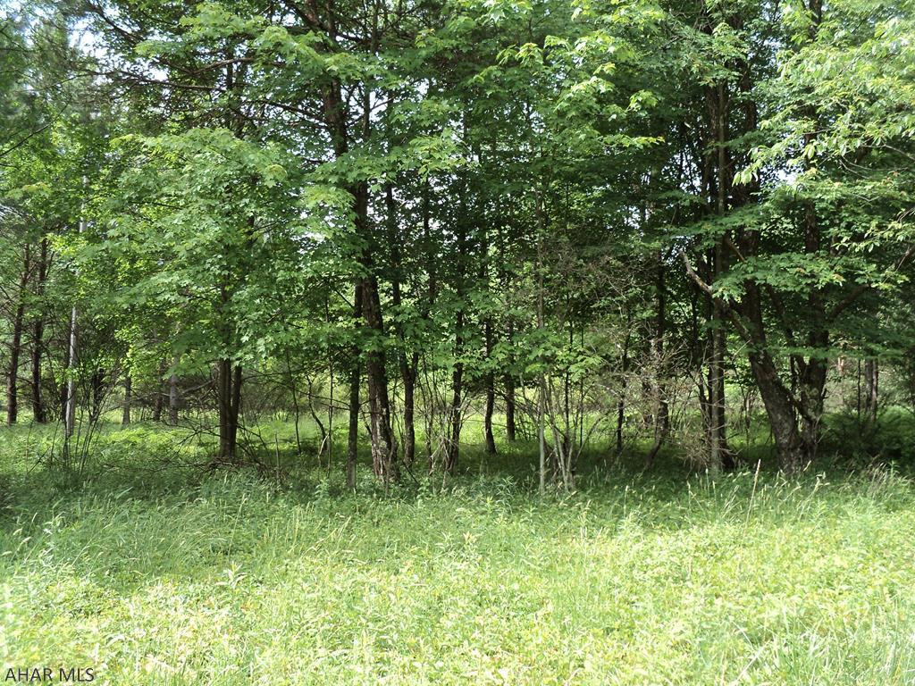Other - Land