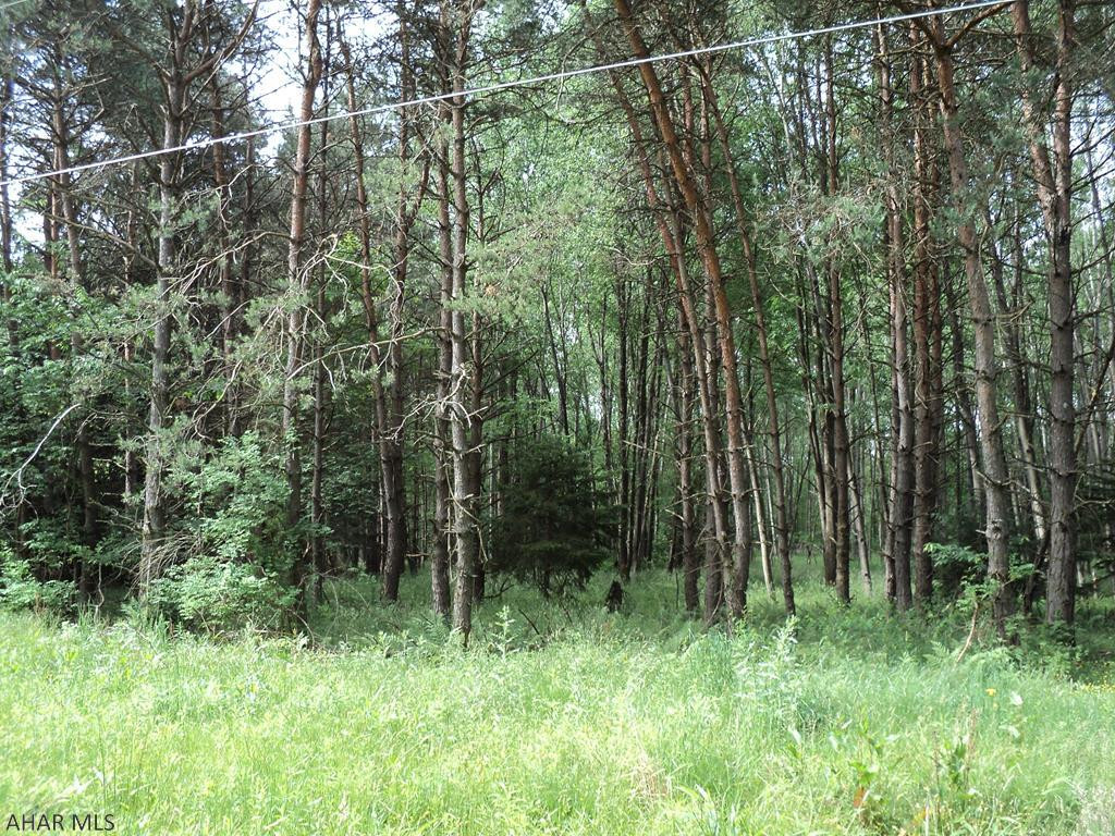 Other - Land