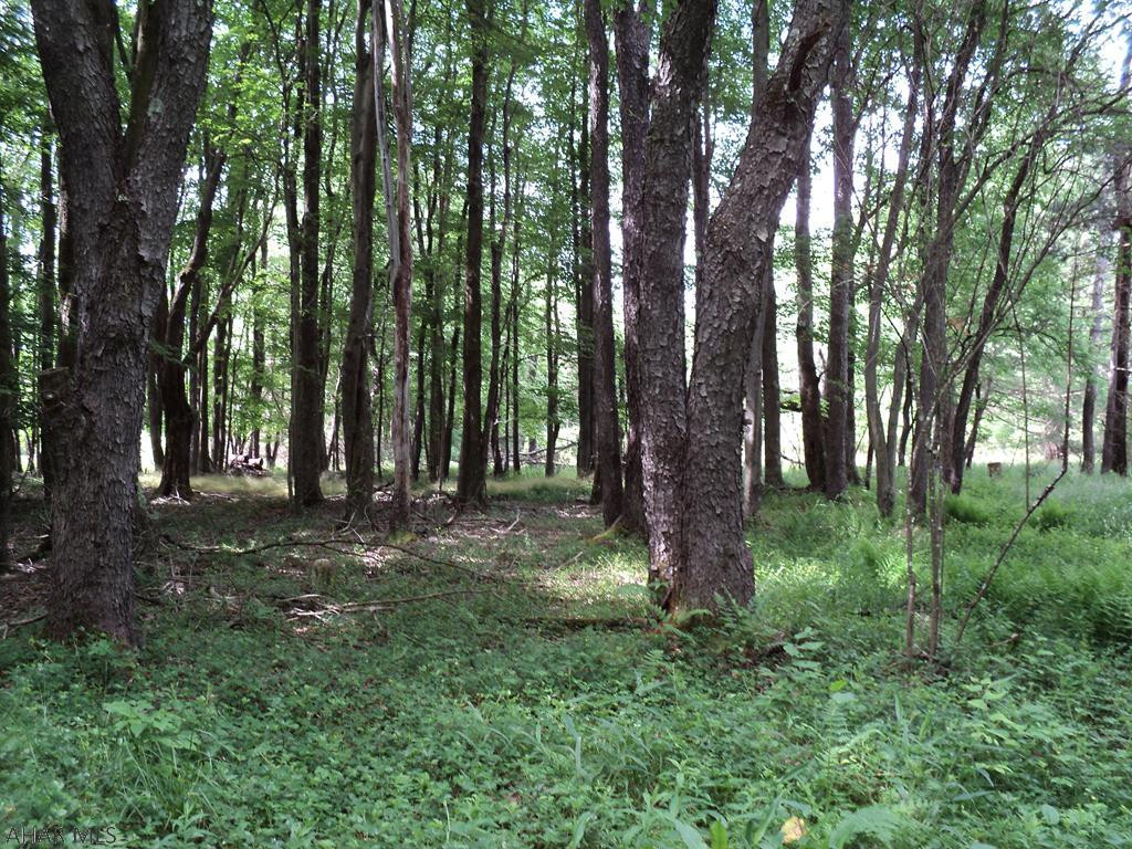 Other - Land