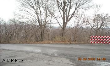 RECENTLY REDUCED!  LARGE VACANT PARCEL OF LAND ON A CORNER LOT!   PERCHED FOR GREAT VIEWS, AND HAS NATURAL GAS AND ELECTRIC AT THE REAR OF THE PARCEL.  IT ALSO HAS THE WATER & SEWER IN THE ALLEY CORNER IN THE STREET.  THE LARGE 200' X 120' SIZE IS NOTHING TO IGNORE!  PRESENTLY ROLLING AND WOODED, AND IS HANDY TO THE ALTOONA CAMPUS OF PENN STATE.  CAN BE TERRACED FOR BETTER USE!  A CHEAP PRICE FOR A HOME SITE OR TO DEVELOPE.  RESIDENTIALLY ZONED.  WORTH A LOOK!  ANY REASONABLE OFFER IS WELCOMED.  CAN BE BOUGHT IN CONJUNCTION WITH A LARGE ADJACENT PINE AVENUE PARCEL #27549.