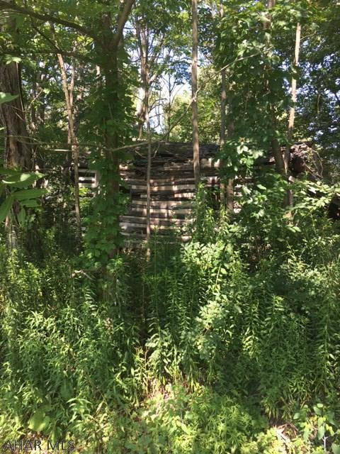 Maple Hollow - Land