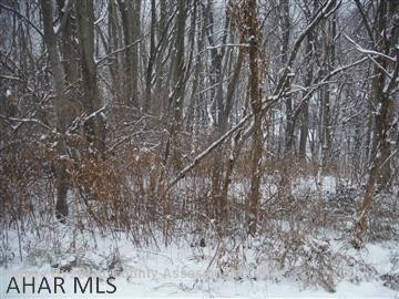 60x120 lot in Ofiesh Development.  All utilities available.  Residential Building Lot.