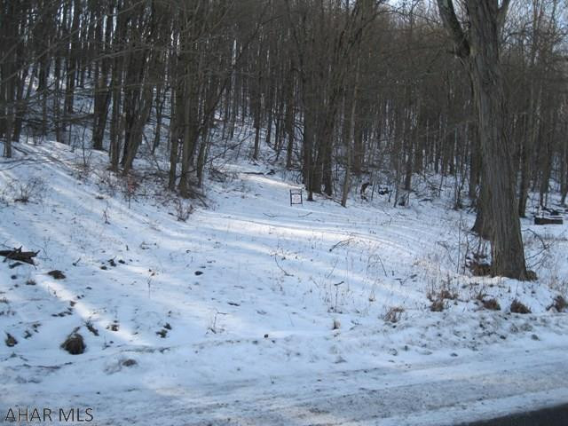 4.04 acres of private, wooded land located in Freedom Township.  Ground is currently not suitable for building as it has not passed a perc test.  It is also not currently suitable for a drip irrigation system due to the soil only being 16 inches.