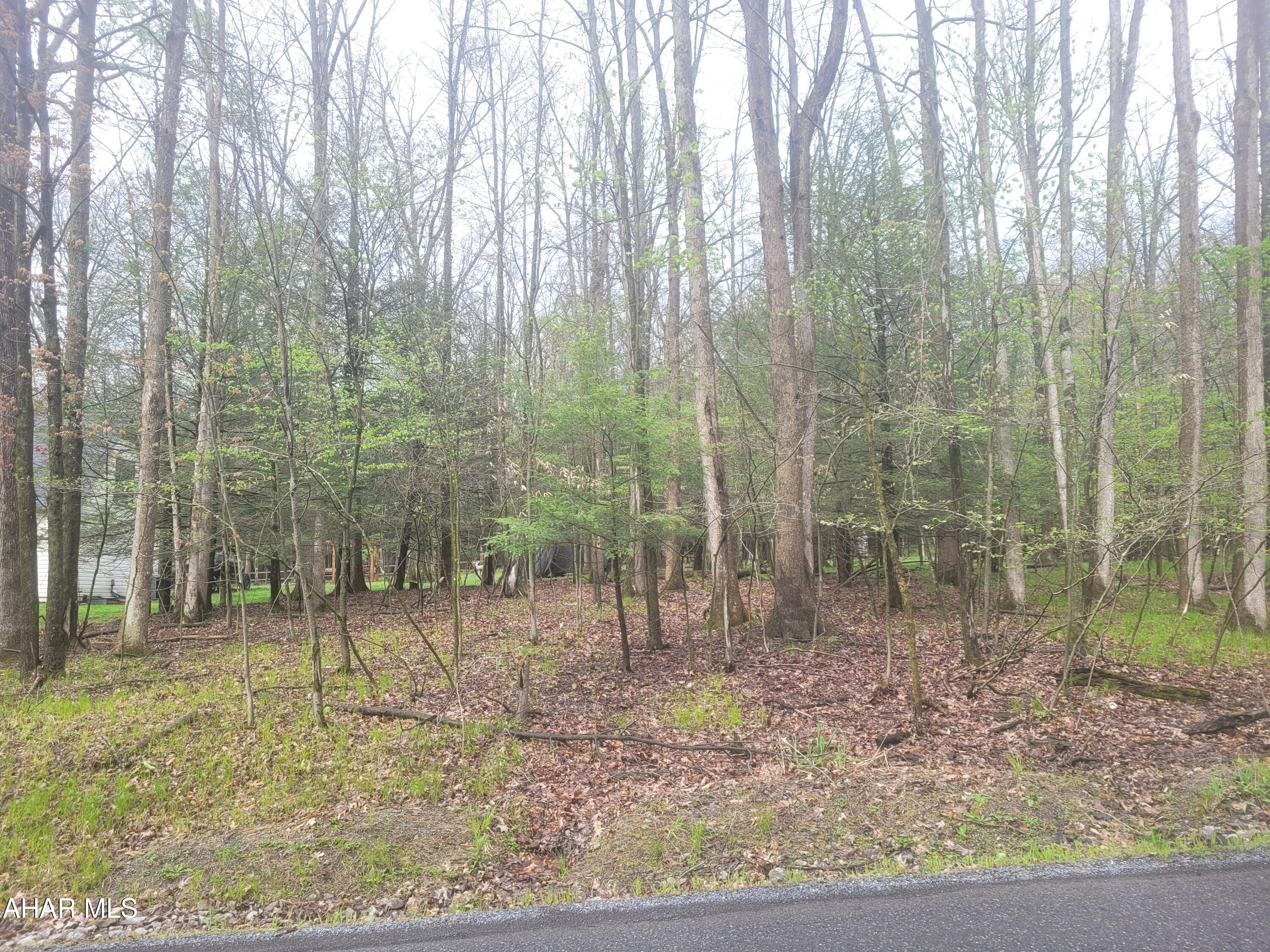 Nice flat wooded building lot with all public utilities available.  No costs to drill a well or build a sand mound.