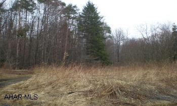 10.572 Acres of wooded land. 30' easement for access and utilities. This sale is subject to court approval. Site has been tested for a sand mound. Recent survey on property. Call office for details.