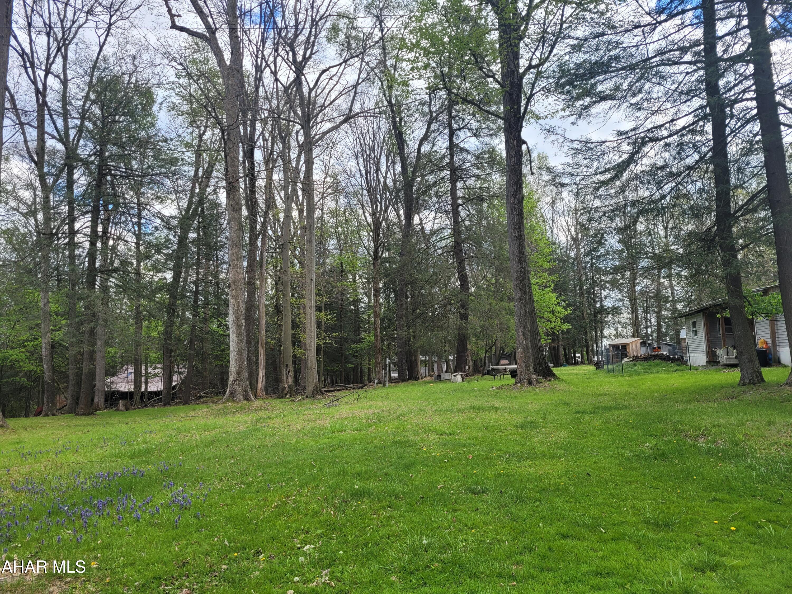 This property is the perfect place to put your single wide mobile home.  It is a one third acre lot with public water and sewer.  There is also electricity on the lot.