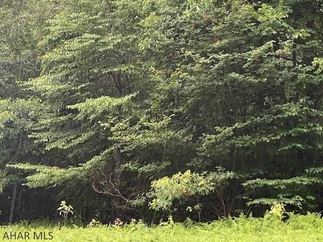 Other - Land