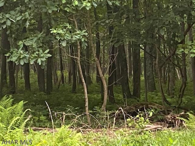 Other - Land