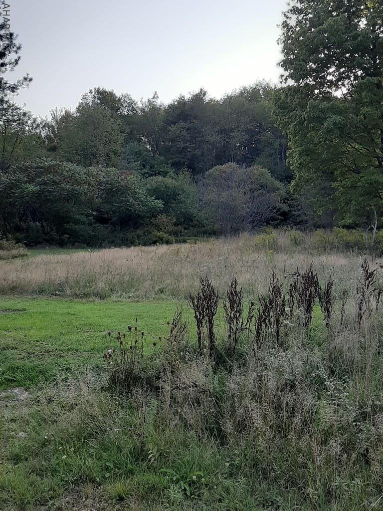 Other - Land