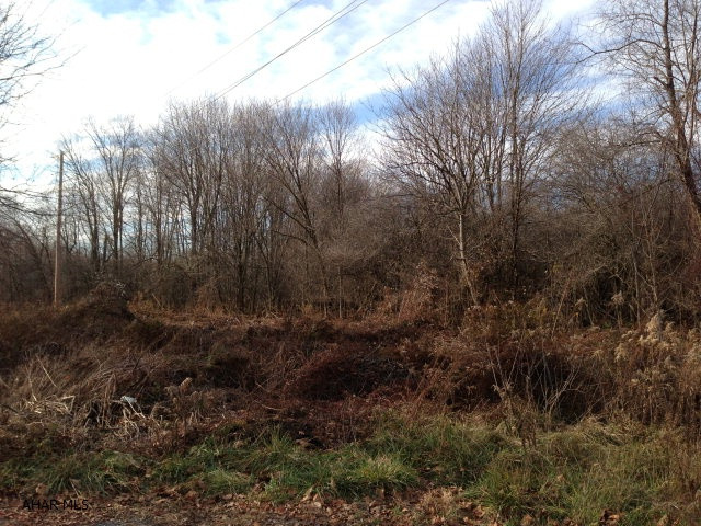Nice flat wooded acres just minutes to Shawnee State Park.  Great Hunting Recreational property with stream.  Year around access to property.