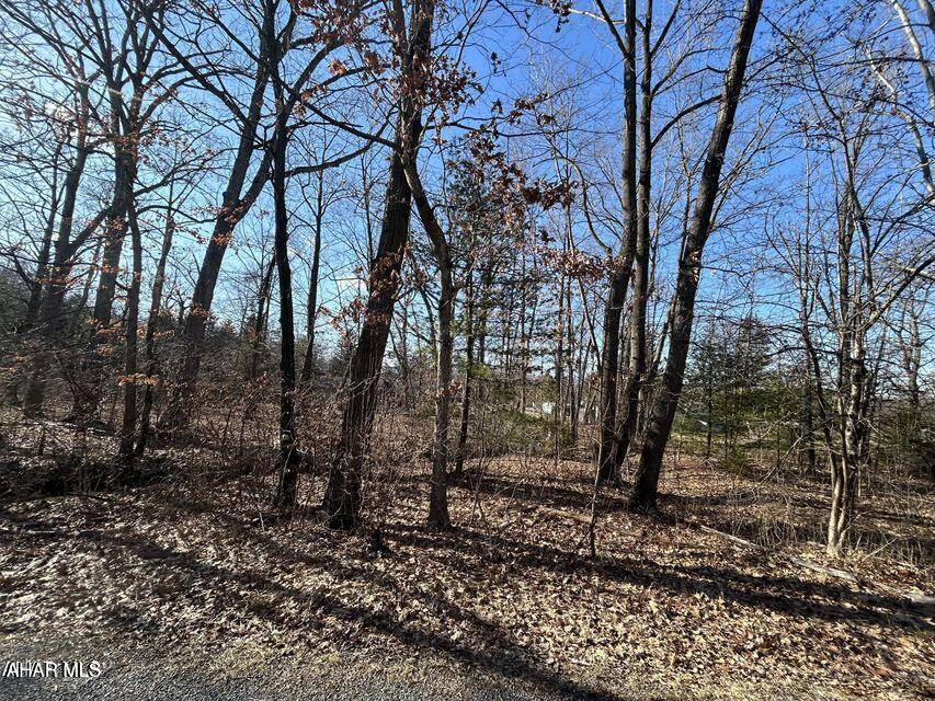 This level, wooded lot offers a peaceful setting with a small stream running along the edge. Ideal for building your dream home, this property provides privacy and natural beauty. Seller is open to offers.  Buyer to verify lot size and taxes. Buyer to confirm taxes, sq footage, and lot size.