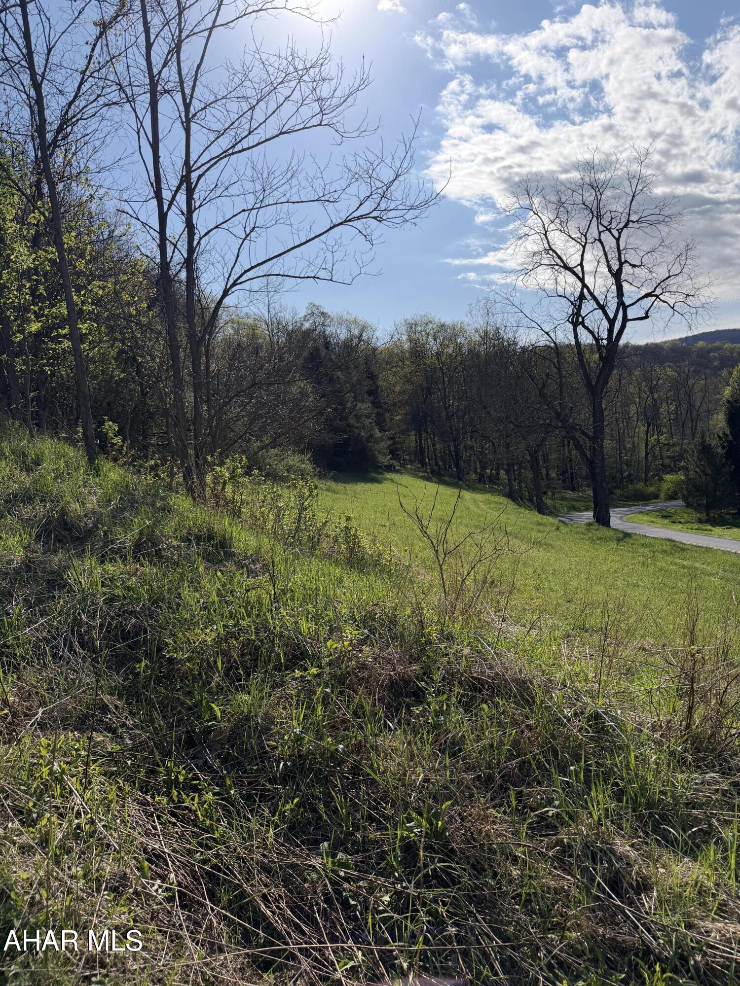 Whether you're seeking a premier hunting retreat, a private weekend playground, or the perfect site for your dream home, this stunning 10+ acre parcel offers the ultimate escape into nature. A huge perk is the massive tax savings as it is currently enrolled in the Clean & Green program, keeping taxes exceptionally low.  The more you know... once enrolled into the Clean & Green program this parcel will remain in the program even if you decide to build a residential home on it in the future. This is a hunter's paradise. The land is a natural corridor for local wildlife where you can watch deer roam through the brush from the established treehouse/hunting stand. Navigate the property with ease through old cleared access roads perfect for side-by-sides, ATVs, or peaceful morning hikes. A tranquil small pond serves as the heart of the acreage, where the sounds of jumping frogs and rustling leaves provide a constant soundtrack of serenity. This isn't just land, it's a place to clear your mind and reconnect with the outdoors. Whether you're tracking trophy bucks or simply relaxing by the water, this picture-perfect property is ready for its next chapter.  Call for details on the process regarding the application for Clean & Green.
