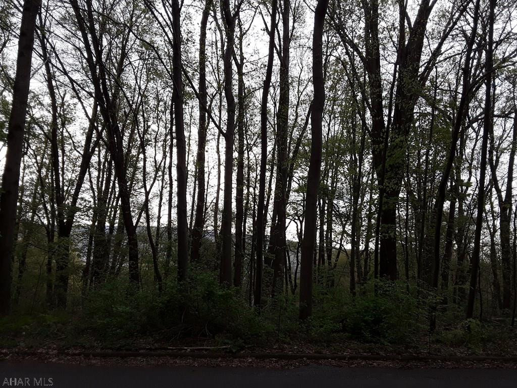 Other - Land