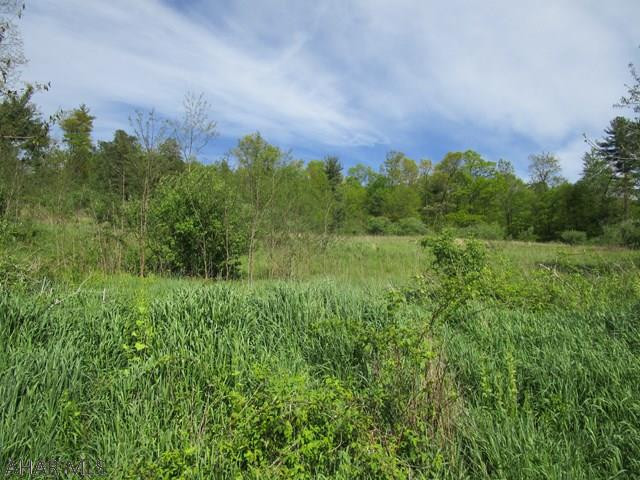 Other - Land