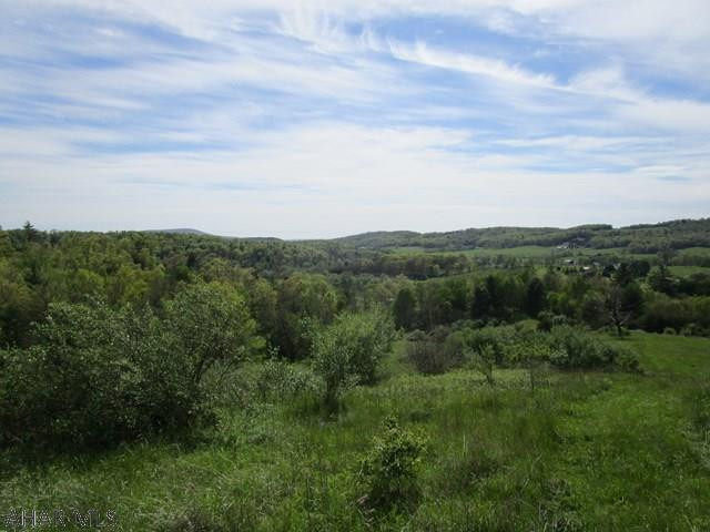 88.4 acres of wooded and open land.  This property offers some very scenic and expansive views and has public road frontage. Great place to build that dream home or use for a private getaway.  Convenient location in Bedford Township.