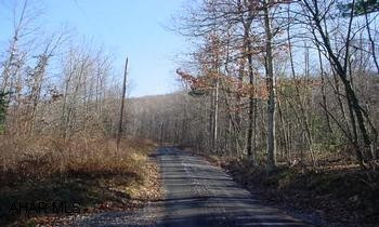 15 acres of beautiful wooded land bordering state game lands. 15 acres of beautiful wooded land bordering state game lands off of Clover Creek Road in Huston Township.