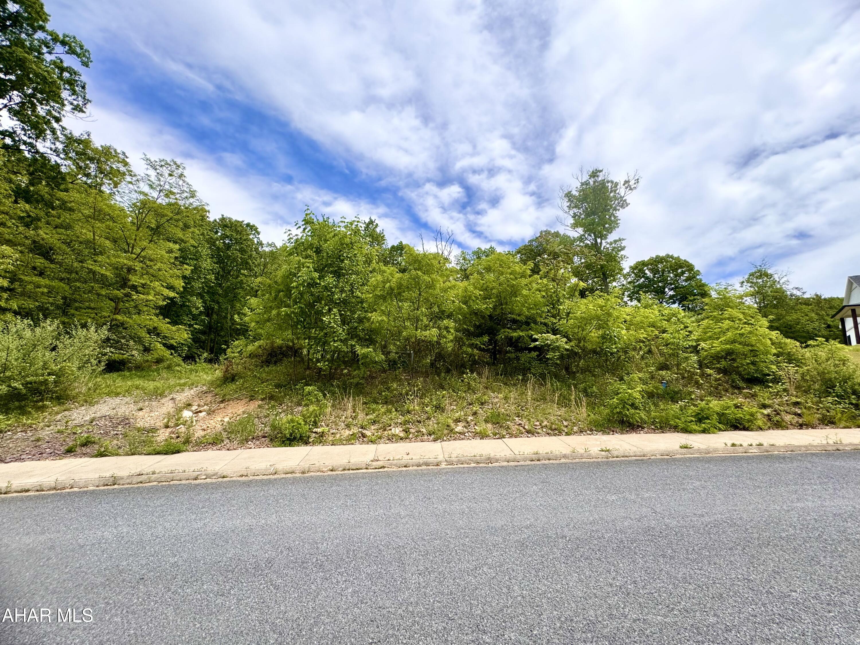 Build your dream home in the desirable Brush Oaks Development! This 0.51-acre lot offers the perfect opportunity to bring your vision to life in an established neighborhood setting. With a low HOA fee of just $140 per year, you'll enjoy community amenities without the high cost. Sellers have already prepaid many of the necessary fees, providing added value and convenience for the next owner. Whether you're planning your forever home or a custom retreat, this ready-to-build lot is waiting for your imagination. Don't miss your chance to become part of one of the area's most sought-after developments!