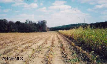 Beautiful level 108 acre site with 27 acres of fo fertile cropland. 20 acres wooded. Stream. Possible commercial /residential development. Good hunting.