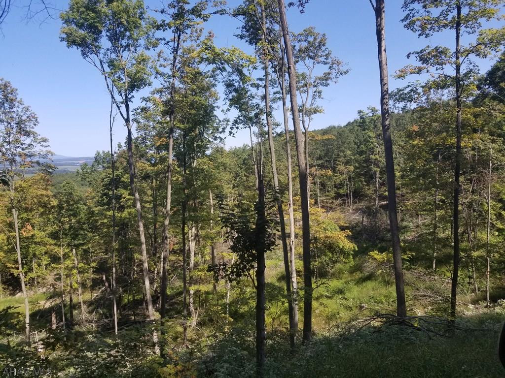 Other - Land
