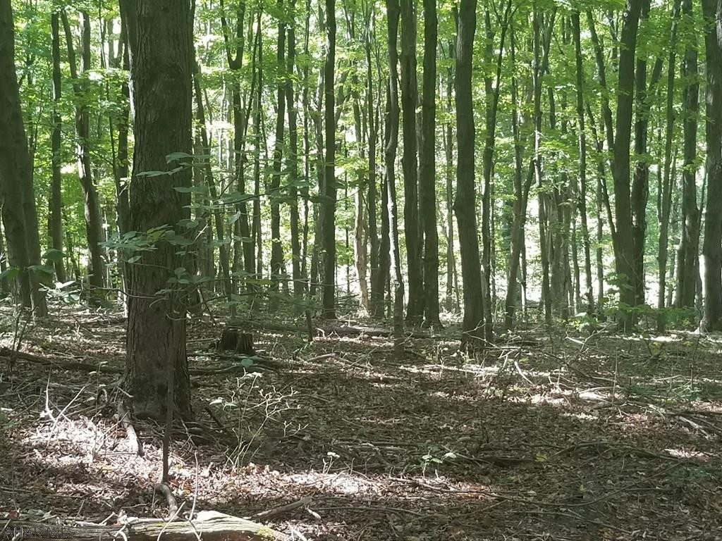 Other - Land