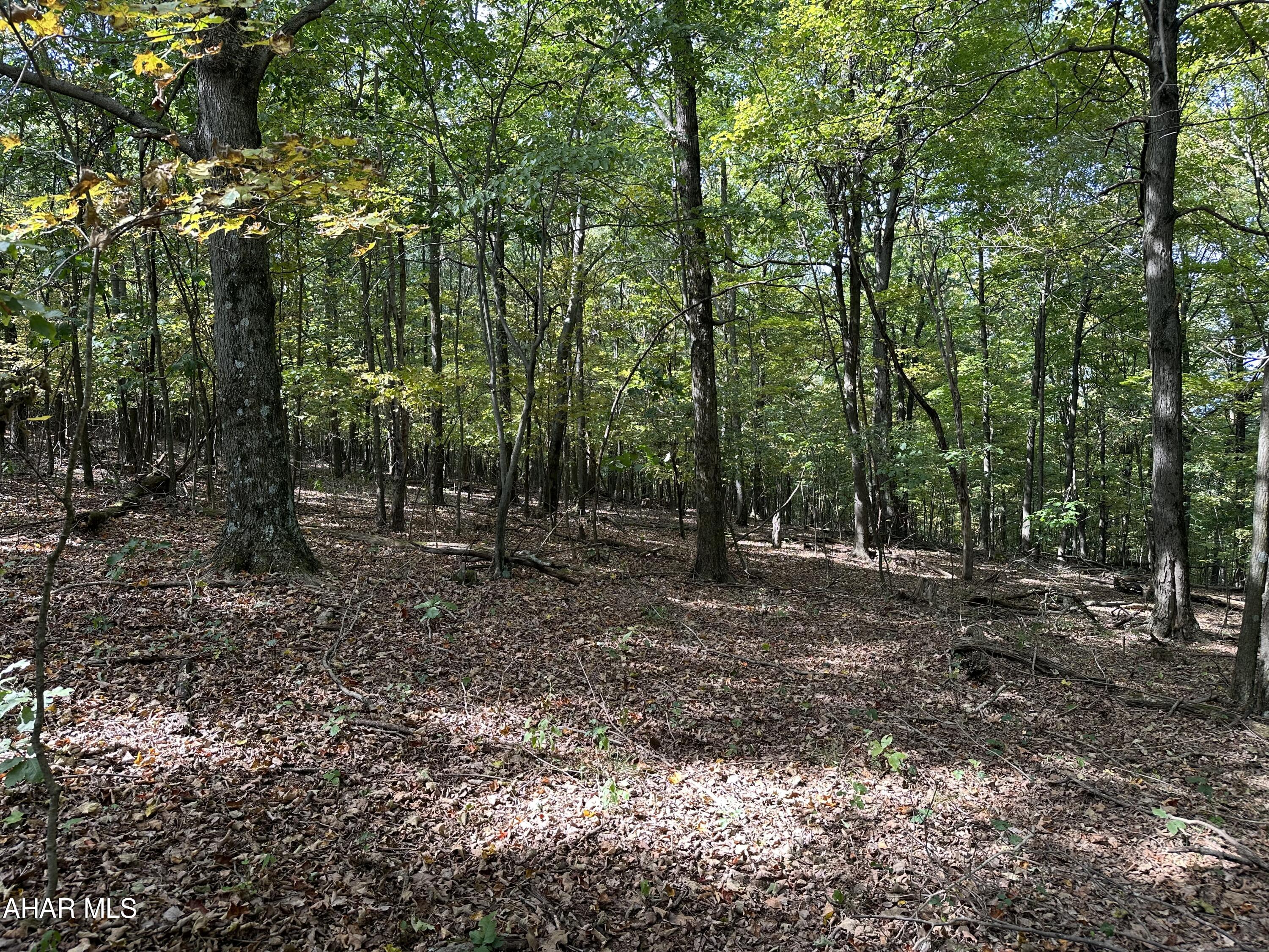Other - Land