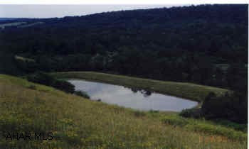Private 56 acres of fields with wooded areas, two lg. ponds, and a stream.  Beautiful views of mountains & forest.  Part of land has been surfaced strip-mined approx 6 yrs ago. Located in Beccaria Twsp./Clearfield Co., no zoning, near Coalport. Private vacant 56 +/- acres of fields with wooded areas, two large ponds, and al stream for great fishing and hunting.  Good hard base road into property.  Beautiful view of mountains and forest.  Part of land has been surfaced strip mined approx 6 yrs ago,  and is planted in grass and small trees.  Near Prince Gallitzin State Park which has 1700 acres of water for outstanding fishing, boating, swimming, picnicing, and hiking through 6000 acres of forested nature trails.  Property located in Baccaria Twsp / Clearfield Co. near Coalport.  No zoning.