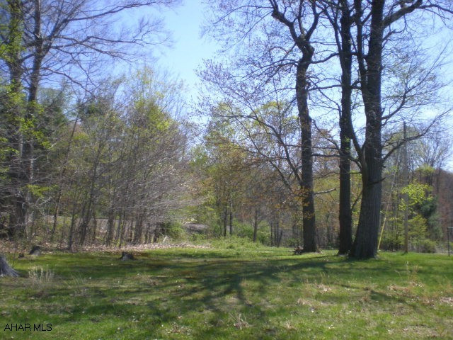 Wooded property with mobile home used as hunting camp and two story house used as rental. 2 gas wells on property and the gas rights are included. Some timber value. Great hunting property. Frontage on Rt 36.