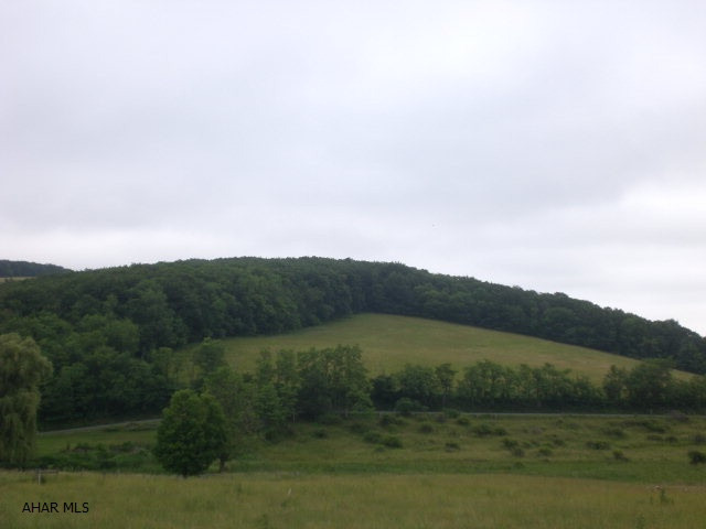 104.09 Acres of Open & Wooded Land. Great Views of the surrounding countryside. Fields on property are currently cut for hay. Build your dream home, use for hunting, part-time living or recreational use, you choose!