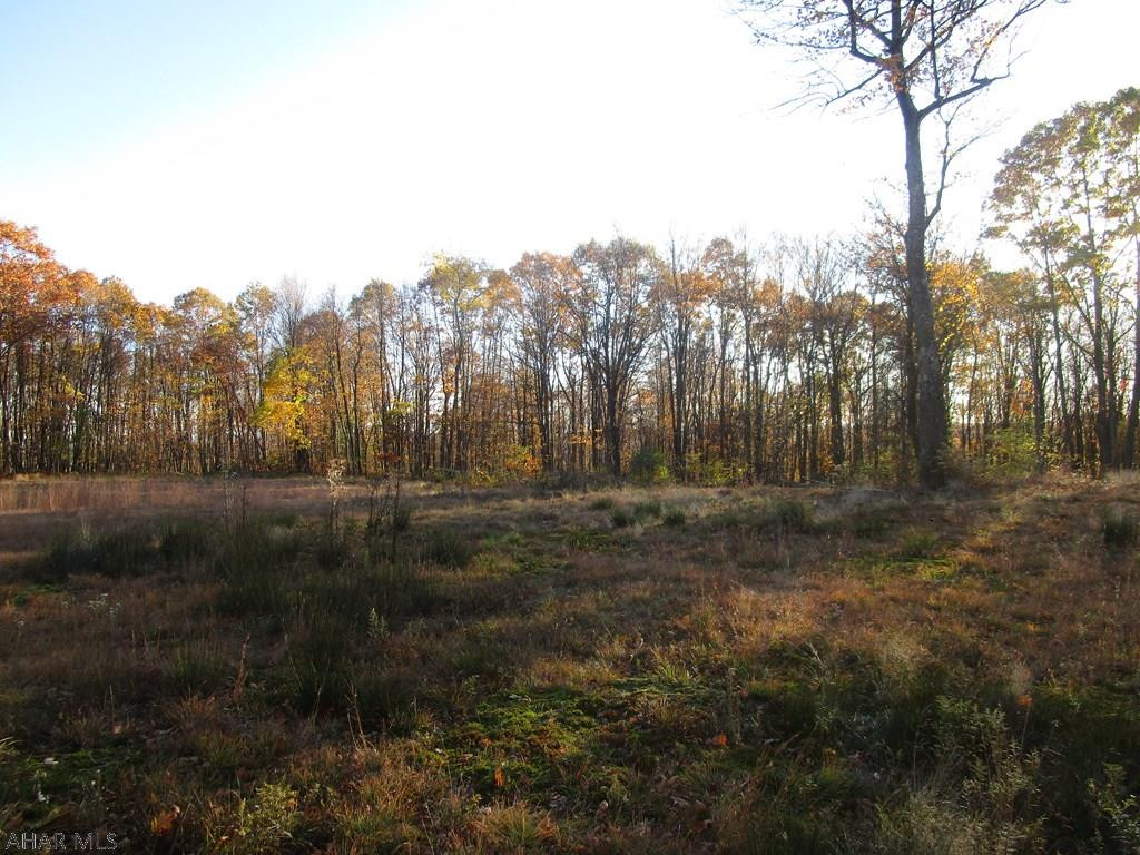 Other - Land
