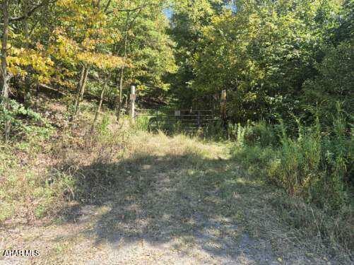 Endless options for this parcel of vacant ground, just over 90 acres. Recreation, hunting, or building your dream home, this site may be worth a look. This large property is heavily wooded and has not been timbered previously. There's a gate at the entrance for walking or possible ATV access. The road frontage would need to be cut in for vehicle access. No current utilities on the property. Call listing agent for more information.