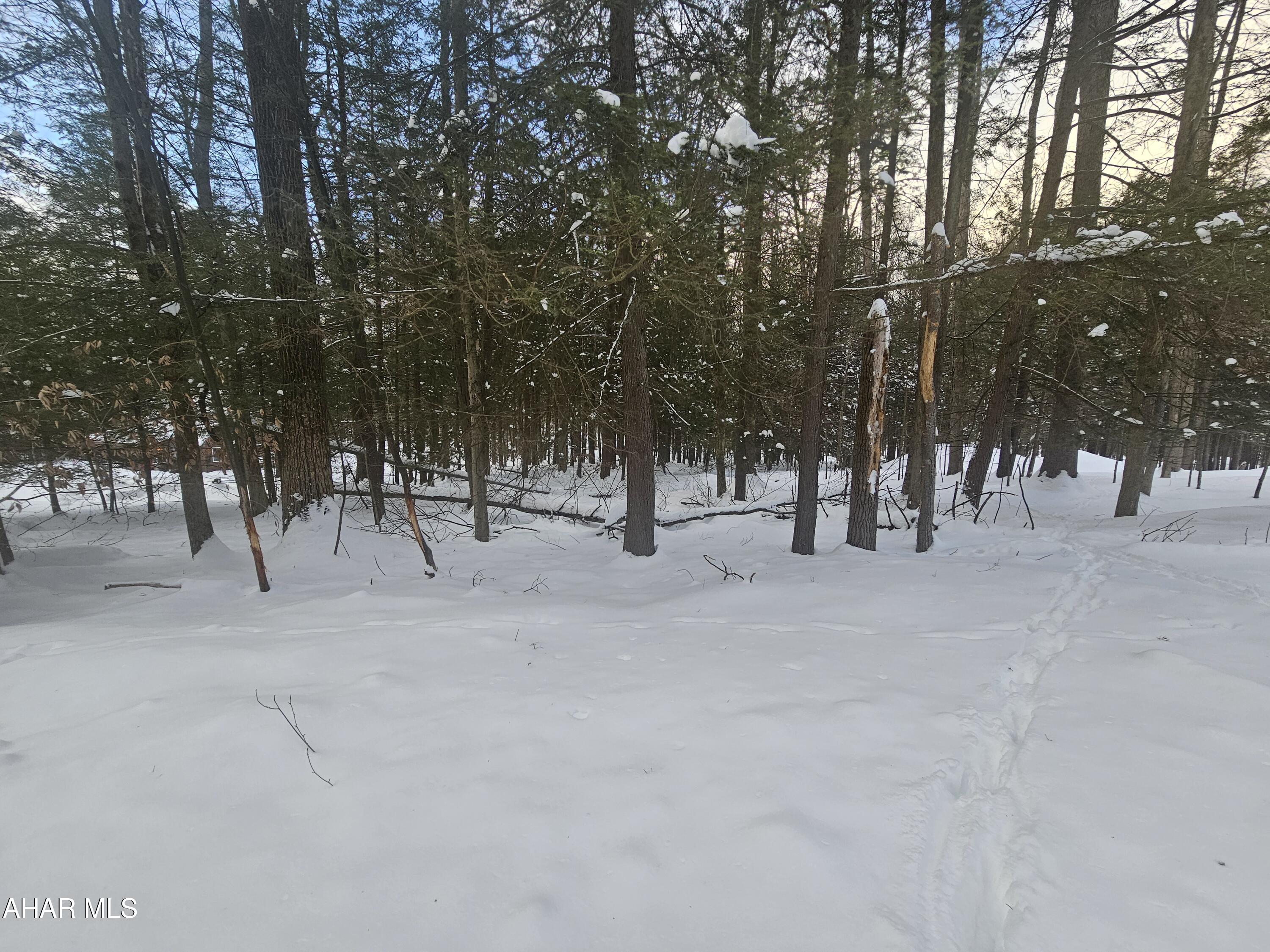 1 lot approximately 1/2 acre inside Glendale Yearound. Great site for cabin or house.  Gentle sloping lot with many trees. Water and sewer taps are paid. Electric, telephone, internet, and cable available. Glendale Yearound is a gated community located minutes from Glendale Lake and Prince Gallitzin State Park.