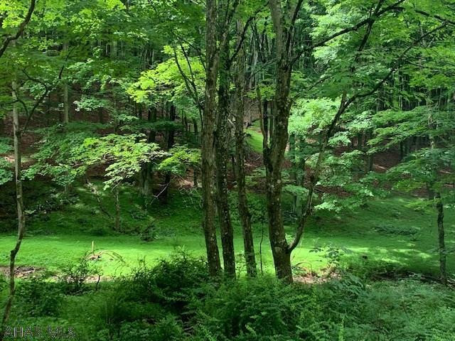 Other - Land