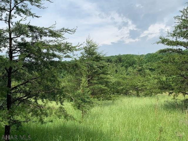 Other - Land