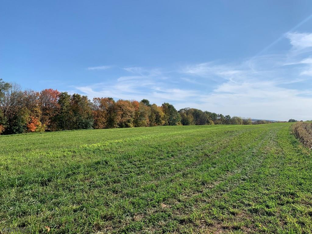 Other - Land